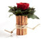ROSEMARIE SCHULZ Heidelberg 1 Ewige Rose rot Vase Zimtstangen Blumengesteck konserviert (Rot)