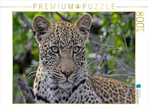 CALVENDO Puzzle Blickkontakt mit Leopard, Afrika | 1000 Teile Lege-Größe 64 x 48 cm Foto-Puzzle für glückliche Stunden