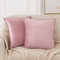 Deconovo Zierkissenbezug Samt Kissenbezug Kissenhülle Wohnzimmer Dekoration Zierkissenbezüge Dekokissen Kissenhüllen Sofakissen Couchkissen Schlafzimmer Büro, 45x45 cm, Sakura Rosa, 2er Set