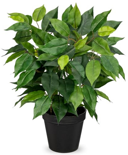 Hollyone Künstliche Pflanzen Wie Echt Ficus 40cm Künstliche Ficus Pflanzen im Topf Grünpflanze Deko Zimmerpflanze für Fensterbank Wohnzimmer Badezimmer Tischdekoration, Grün