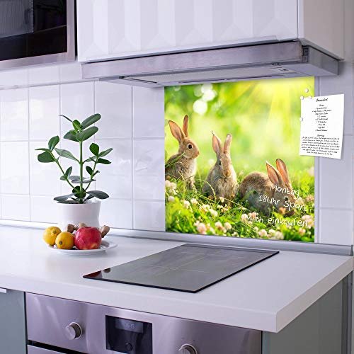 banjado Küchenrückwand Glas ohne Bohren 50x50cm – Glasrückwand Küche mit Motiv Drei Hasen/Spritzschutz Küchenrückwand Glas/selbstklebende Küchenrückwand Platte - magnetisch & beschreibbar
