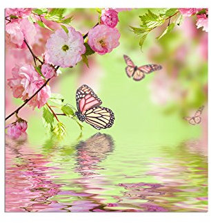 80x80cm - Fotodruck auf Leinwand und Rahmen Kirschblüte Schmetterlinge Orient Wasser - Leinwandbild auf Keilrahmen modern stilvoll - Bilder und Dekoration