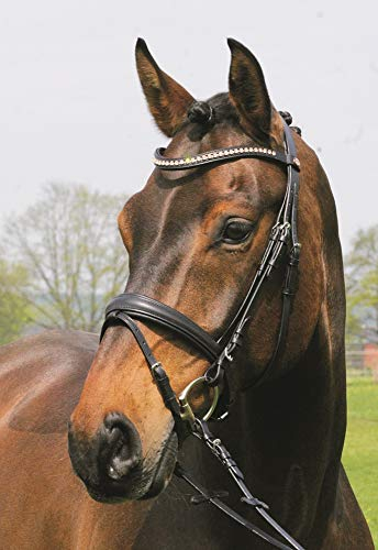 Hans Melzer Horse Equipment Trense Mechtersen, schwarz/silber, Vollblut