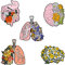 Holibanna Décor Rose Décoration Broche Danatomie Broches de vêtements de 5pcs d' orgue décorative à épingle en pour le costume d' écharpe chapeau En Émail Anatomique Goupille