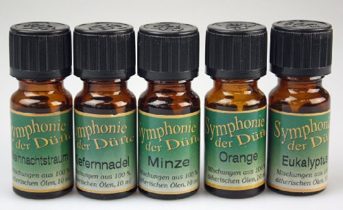 20 à 10ml Ätherische Duftöle Duftöl Orange Weihnachtstraum Kiefernnadel Eukalyptus Minz