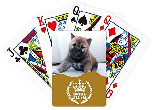Pippy Dog Pet Animal Cute Picture Royal Flush Poker Spielkartenspiel