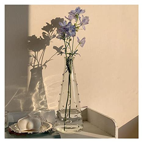 XXAD553TY Vase Petit Vase en Verre Transparent, décoration de la Maison, café, Salon, Table Basse, décoration de Table, Vase à Fleurs hydroponique Vase Decoratif