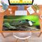 MYAUEYSU Gaming 30x80cm Premium Groß vernähte Kanten langlebig mit high-end Glide und Anti-Rutsch Speed Gaming Mauspad,Kochs Riesen-Taggecko (Phelsuma madagascariensis Kochi)