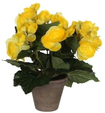 Mica decorations 977007 Blumen, Begonia, gelb