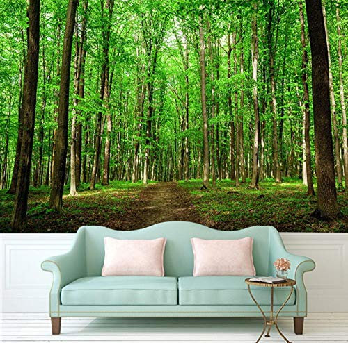 Fotomurale Sentiero Nel Bosco Non Tessuta 3D Carta Da Parati Fotomurali Murale Alla Moda Arte Decorazione Da Muro (W150 X H100Cm)