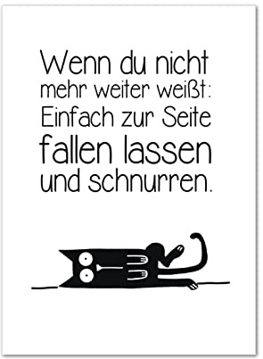 Bild, Poster, Kunstdruck, Katze, Cat, Motivation Wenn du nicht mehr weiter weißt... ohne Rahmen (2.A3 29,7x42,0 cm)