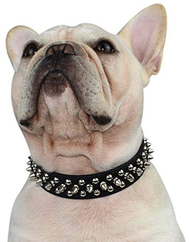 Hifrenchies Hundehalsband mit Nieten, verstellbar, aus Mikrofaser, Leder, für Französische Bulldogge, Mops, geeignet für kleine, mittelgroße und große Hunde(M, Schwarz))