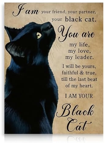 Dazzlewall Schwarze Katze Versprechen Wandbild, Vintage Stil Haustier Poster für Katzenliebhaber Schlafzimmer 30x40cm Ohne Rahmen