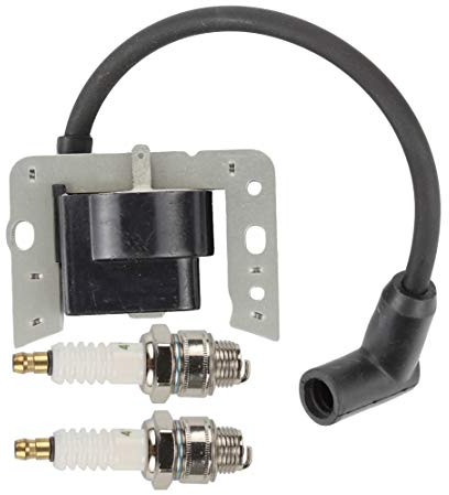 Hippotech 34443D Zündspule mit Zündkerze für Tecumseh 34443 34443A 34443B 34443C Solid State Modul für Tecumseh AV520 LH195 OH195 TH139 TV085 TVM140 TVXL840 VLV126 LEV100 LEV115 LEV120 LV148A O