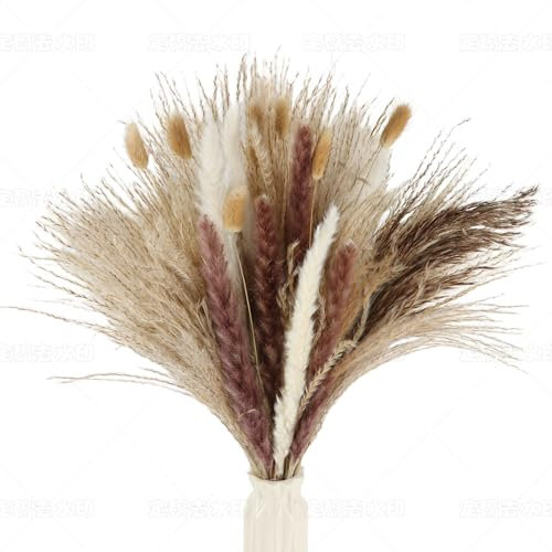 Getrocknete Pampasgras Deko Set 65 Stück Natürliche Pampasgras Trockenblumen Deko DIY Schilfgrasstrauß für Hochzeit Pflanzen Blumenstrauß Boho Pampas Deko für Wohnzimmer Home Hochzeit Vasen Tischdeko