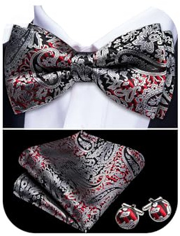 Barry.Wang Herren-Krawatten-Set, Seide, Paisleymuster, Taschentuch, Manschettenknöpfe, Hochzeit, Party