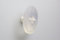 10 Stück Knopf Möbelknopf Schrankknopf Kunststoff transparent DM=42 mm H=25 mm