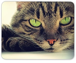 Destination Vinyl Ltd Beautiful Cat Mouse Mat Pad - Kitten Cats Mum Sister PC Computer #8306