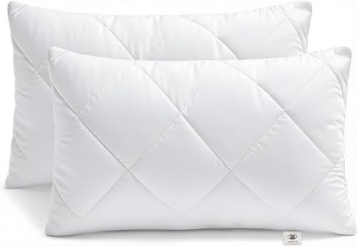 Makimoo Kopfkissen 2er Set, Kissen für Bett und Dekokissen, Polyester Innenkissen Füllkissen for Sofakissen Zierkissen (30 x 50 cm)
