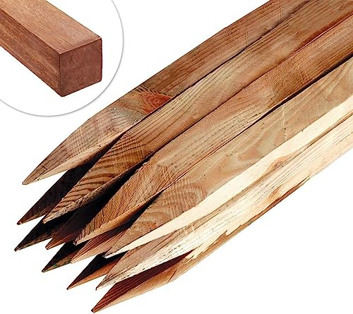Garden Stakes 1.2 M Long, Wooden Stakes for Plant & Tree Support (Pack of 10) Pressure Treated Timber – 3.2 CM Thick Stakes by Circle of Trust Natural