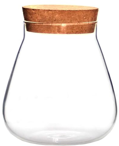 HOMSFOU Vaso rotondo in vetro per piante, terrario da tavolo, per piante grasse, palline di muschio, boccioli, contenitore per caramelle, biscotti, con coperchio in sughero, per felci e piante