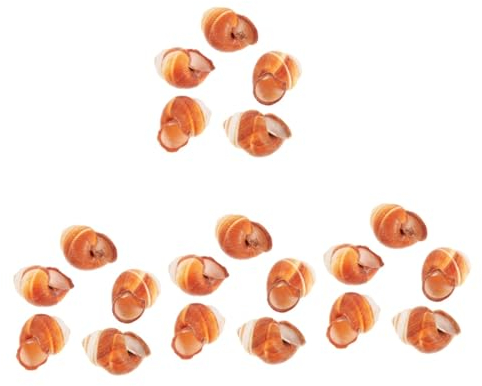 Kisangel 20 Pièces Coquille d'escargot français Grosses coquilles pour moules à pâtisserie Coquille escargots coquilles d'escargots décor Accessoires pour Barbecue coquilles épaisses géant