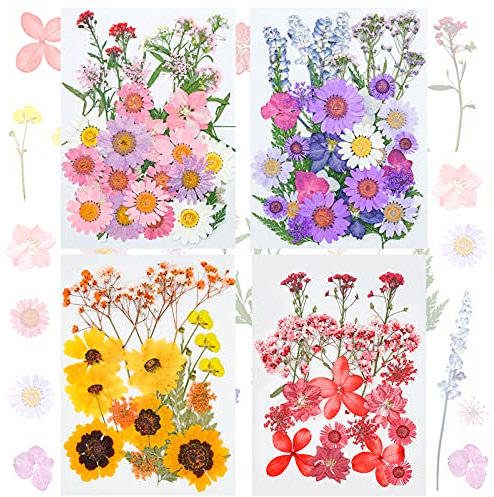 FINEVERNEK 111 Stück Natürliche Getrocknete Blumen, Gemischte Getrocknete Blumen Blätte, Natürliche Getrocknete Gepresste Blumen für Harz Kunst Basteln DIY Karten Machen, Gepresste Trockenblumen Klein