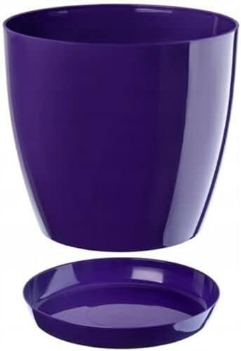 B2C Plant Pot Flower 20 Colours 9 sizes Gloss Plastic Plant Pots Planter Saucer Tray Deco (16 cm/ 6.3 inch, Purple)