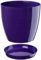 B2C Plant Pot Flower 20 Colours 9 sizes Gloss Plastic Plant Pots Planter Saucer Tray Deco (16 cm/ 6.3 inch, Purple)