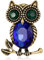Inateannal Strass Eule Pin Vintage Kristall Anstecknadel Niedlich Tier Brosche Blumenstrauß Dekoration Erklärung Emaille Brosche Pin Modeschmuck Für Frauen Mädchen