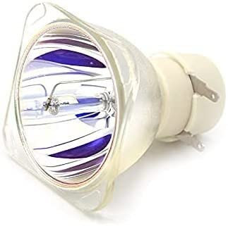 VLIZO Ersatzteile- Kompatibel 1026952 Projektorlampe Kompatibel mit Smart U100 U100W Kompatibel mit UHP 260W Ersatzlampe