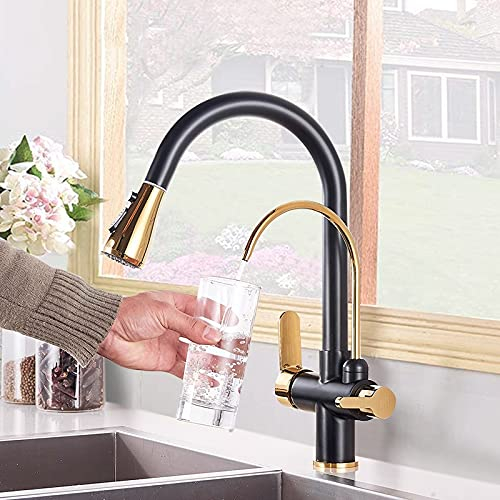 HIGOH Wasserhähne, Küchenspüle Tap Für Barfarmhaus, Filter Küchenarmaturen, Reines Wasser Rotatierbarer Dual -Ausguss -Küchenarmaturen, Doppelgriff Gefilterte Mixer -Hahn Für Küche/Schwarzes Gold