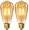 YUNRRD Vintage Light Bulb E27 Screw LED Edison Bulb ST64,4W Equivalent to 40 Watt,Retro Amber Warm Glass Screw Lamp,2700K Warm White,Non-dimmable,Screw LED Filament Lamp Squirrel Cage，2 Packs