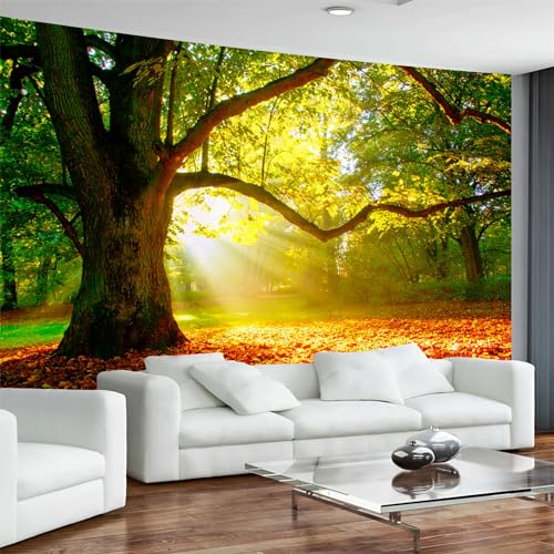Arsey Wandteppich Wald Wandtuch Baum Wand Teppich Tapisserie Sonnenschein Himmel Wandbehang Gras Natur Landschaft Wandteppiche Deko Wohnzimmer Schlafzimmer, Grün, Extra Großer 300x180cm