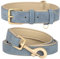 Beirui Hundehalsband und Leine, weich gepolstertes Leder-Set, robuste Hundeleine und Halsband mit Metallschnalle, atmungsaktiv, mit 122 cm langer Leder-Hundeleine für große Hunde (Blau, Halsumfang