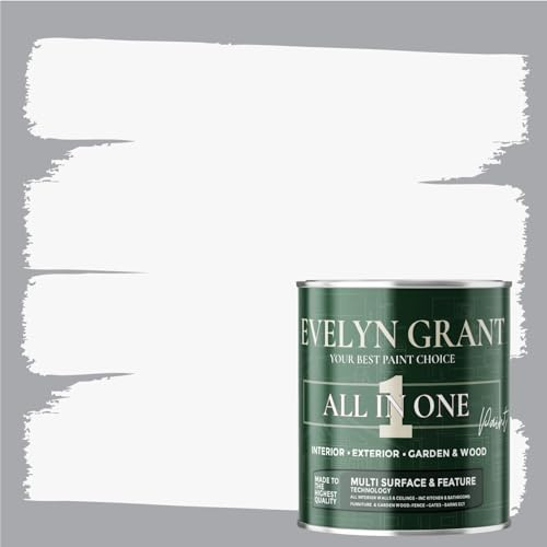 Evelyn Grant All-IN-ONE Paint & Primer - Multi-Surface Paint For Interior Walls, Outdoor Garden & Exterior Walls, Wood Furniture | High Durability Multi-Feature - Brilliant White - 1L - Satin