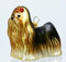 condecoro Yorkshire Terrier Christbaumschmuck Hunde Christbaumkugel