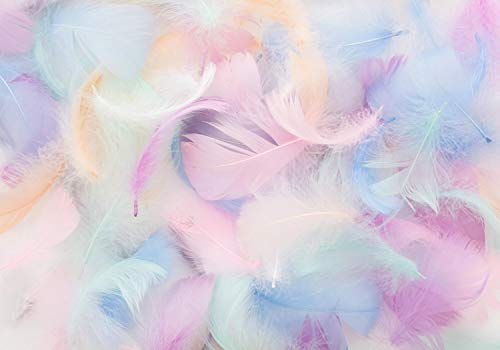 wandmotiv24 Fototapete Federn pastell rosa blau, XXL 400 x 280 cm - 8 Teile, Wanddeko, Wandbild, Wandtapete, grün Feder lila violett M6632