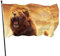 3 x 5 pies para exteriores, bandera decorativa grande para jardín, bandera de animales, león, divertida, para patio, ban