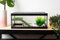 BETTASHOP.ES TORTUGUERA Cristal para Tortugas Acuario Grande Tortugas