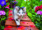 Nathan - Puzzle 500 Teile - Kätzchen im Garten - Erwachsene und Kinder ab 12 Jahren - Hochwertiges Puzzle - Perfekte Integration - Kollektion Tendresse - 12000968