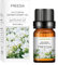 10ml ätherische öle, Aromatherapy naturrein Wasserlösliches Öl Aromatherapie Geeignet für Luftbefeuchter, 19 Düfte zur Auswahl (Q, Freesia)