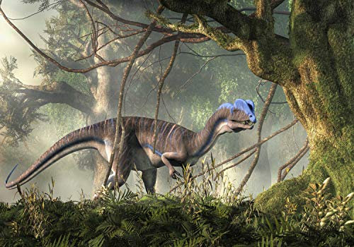 wandmotiv24 Fototapete Dilophosaurus Dino zwischen Bäumen, 300 x 210 cm - selbstklebende Strukturtapete, Wanddeko, Wandbild, Wandtapete, Dinosaurier Natur M6024