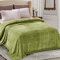 Whale Flotilla Flannel Fleece Queen Size Blanket for Bed, 220x240 CM Soft Fluffy Velvet Bed Blanket with Decorative Chevron Pattern for All Season, Warm and Lightweight, Olive Green