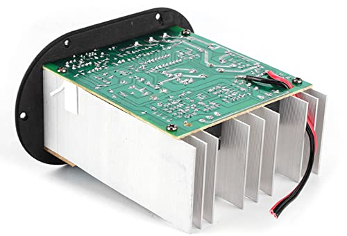 aqxreight Amplificateur Audio de Voiture 120W, Caisson de Basses Haute Puissance, Panneau D'ampli pour Haut-Parleur Stéréo Automatique, Basses Pures 12V