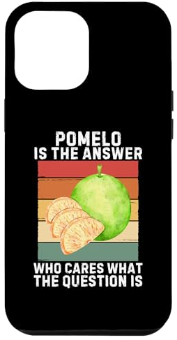 Hülle für iPhone 15 Pro Max Vintage Pomelo Is The Answer Cares What The Question Is