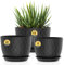 3 Pack Plastic Plant Pots,30/25/23CM,Large Plant Pots Indoor Flower Pots with Drainage Holes Saucer and Reservoir for All House Plants(Black)