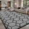Sour Lemon Hochflor Teppich Grau Carpet Wohnzimmer 120x160 Waschbar Anti-Rutsch Extra Große Teppiche Schlafzimmer Flauschige Moderne Teppiche Matte Teppichen für Schlafzimmer Kinderzimmer
