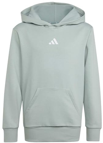 adidas Unisex Kids Essentials Pocket Hoodie, Wonder Sage/White, 11-12 Years