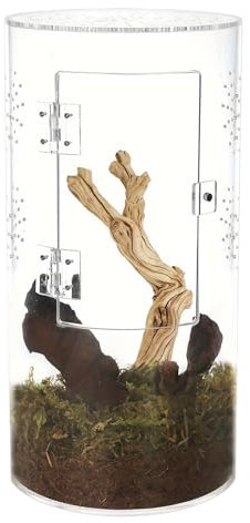 Enceinte d'araignée - cage en terrarium acrylique, réservoir arboricole d'ouverture frontale | Habitat de reptile imperméable compact, unité de visualisation de porte magnétique, station d'affichage d
